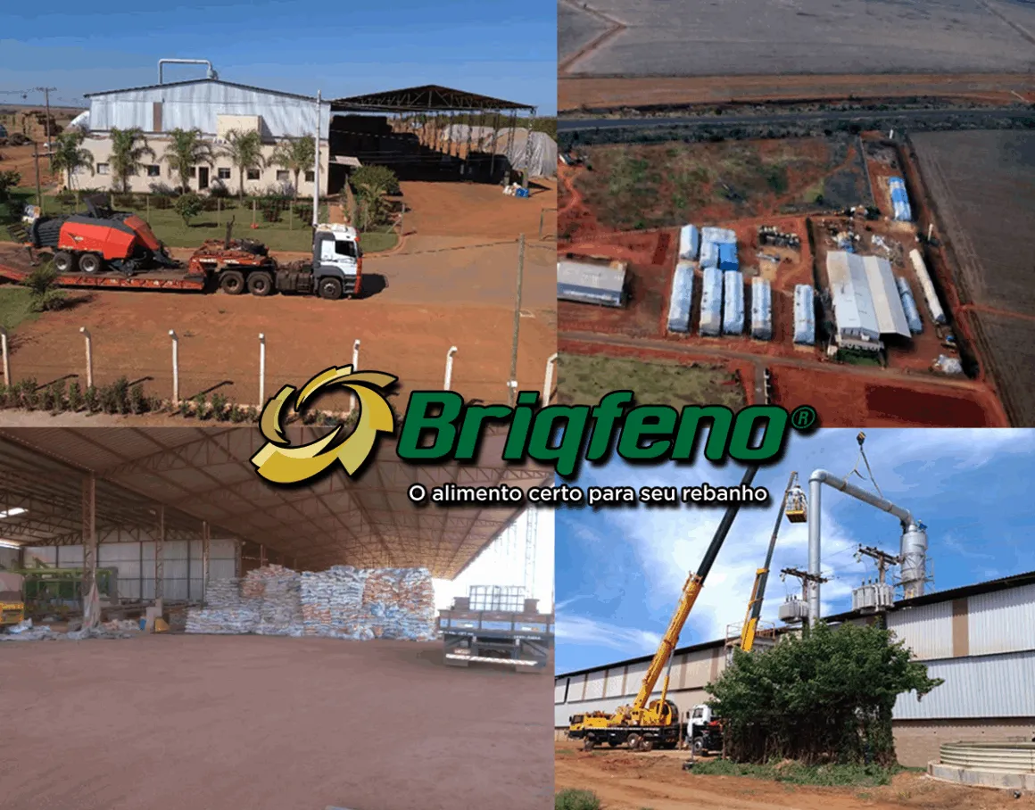 A fábrica e o galpão da Briqfeno®