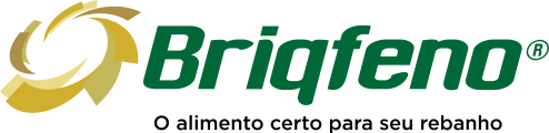 Briqfeno